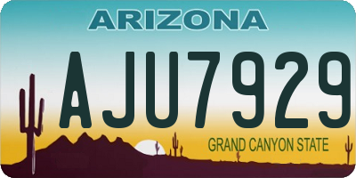 AZ license plate AJU7929