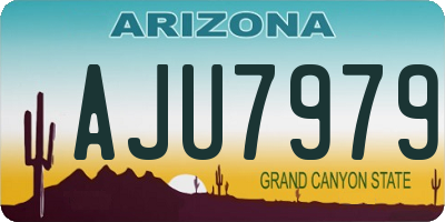 AZ license plate AJU7979