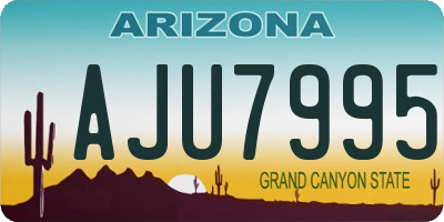 AZ license plate AJU7995