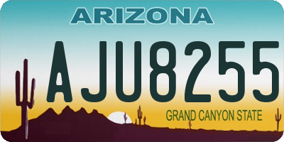 AZ license plate AJU8255