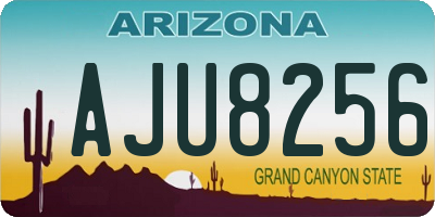 AZ license plate AJU8256