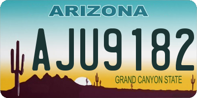 AZ license plate AJU9182