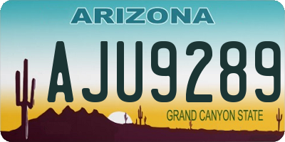 AZ license plate AJU9289
