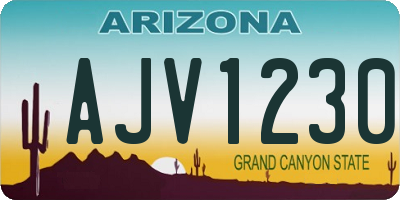 AZ license plate AJV1230