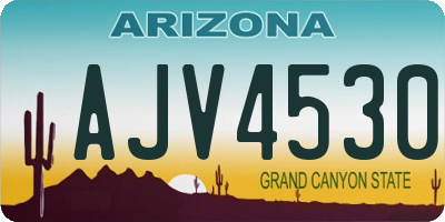 AZ license plate AJV4530