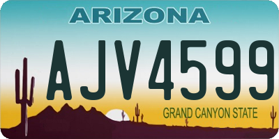 AZ license plate AJV4599