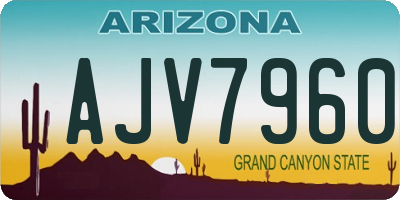 AZ license plate AJV7960