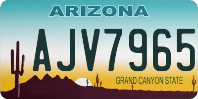 AZ license plate AJV7965
