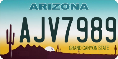 AZ license plate AJV7989