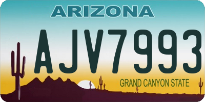 AZ license plate AJV7993