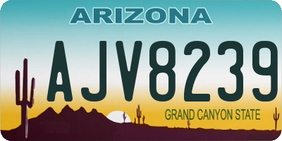 AZ license plate AJV8239