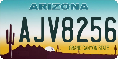 AZ license plate AJV8256