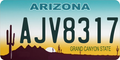 AZ license plate AJV8317