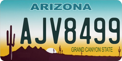 AZ license plate AJV8499