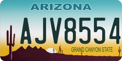 AZ license plate AJV8554
