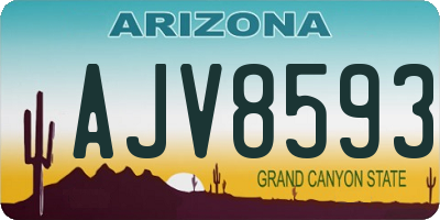 AZ license plate AJV8593