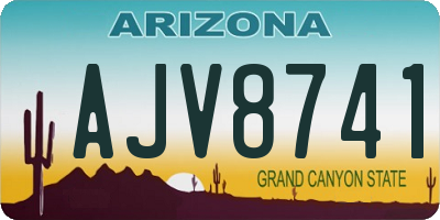 AZ license plate AJV8741