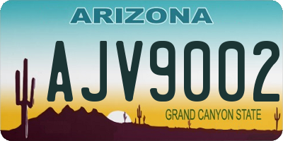 AZ license plate AJV9002