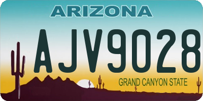 AZ license plate AJV9028