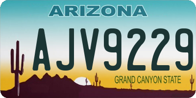 AZ license plate AJV9229