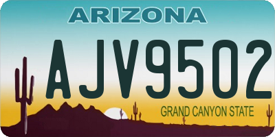 AZ license plate AJV9502