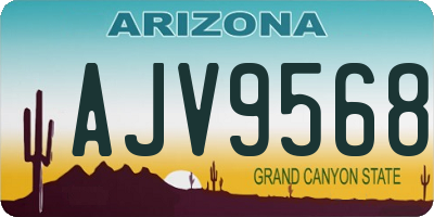 AZ license plate AJV9568