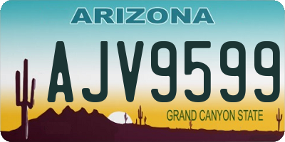 AZ license plate AJV9599