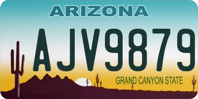 AZ license plate AJV9879