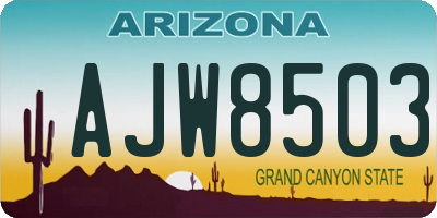 AZ license plate AJW8503
