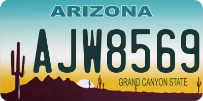 AZ license plate AJW8569