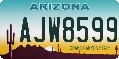 AZ license plate AJW8599