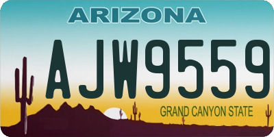 AZ license plate AJW9559