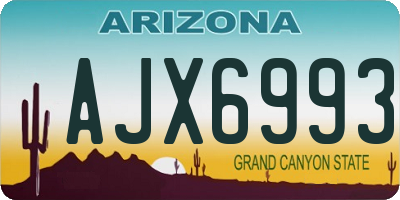 AZ license plate AJX6993