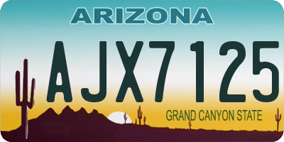 AZ license plate AJX7125