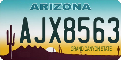 AZ license plate AJX8563