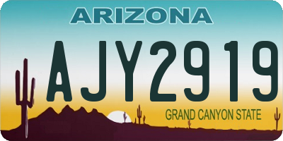 AZ license plate AJY2919