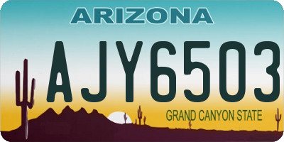 AZ license plate AJY6503