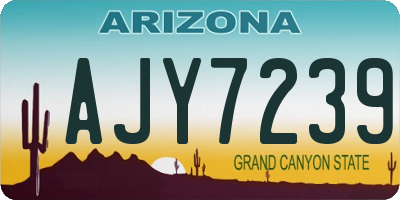 AZ license plate AJY7239