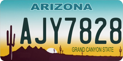 AZ license plate AJY7828