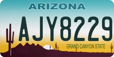 AZ license plate AJY8229