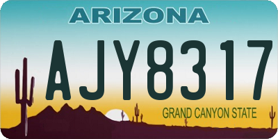 AZ license plate AJY8317