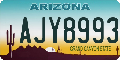 AZ license plate AJY8993