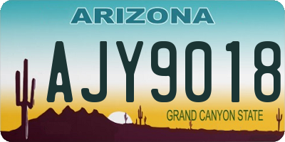AZ license plate AJY9018