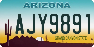 AZ license plate AJY9891