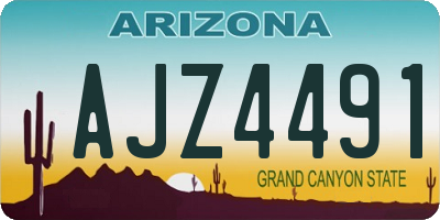 AZ license plate AJZ4491
