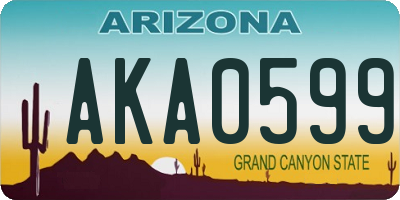 AZ license plate AKA0599
