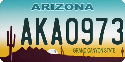 AZ license plate AKA0973