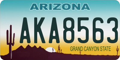 AZ license plate AKA8563