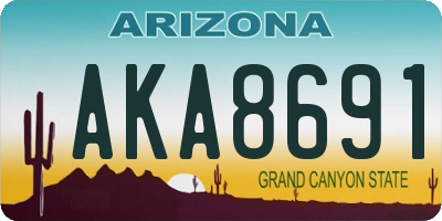 AZ license plate AKA8691