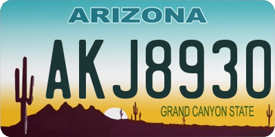 AZ license plate AKJ893O